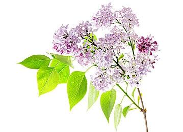 《机甲战魔：神话之裔》1.1.1版本更新 新增服装与两个BOSS